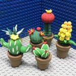 Colorful Clay Cactus Plant Set