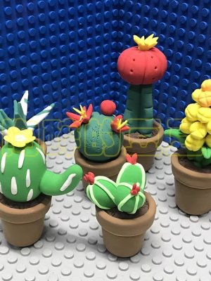 Colorful Clay Cactus Plant Set