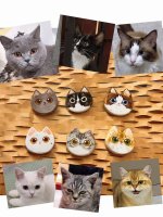 Whimsical Clay Cat Portrait Magnets